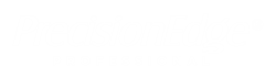 Logo site PrecisionEdge